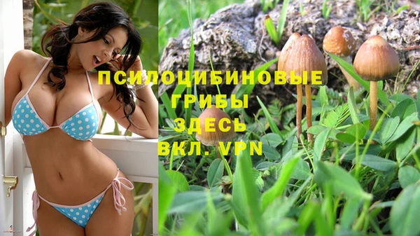 не бодяженный Горняк