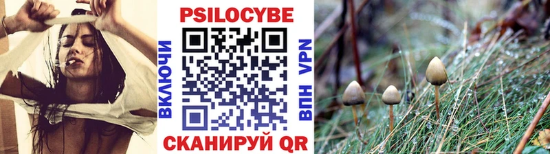 Галлюциногенные грибы ЛСД  Гусиноозёрск 